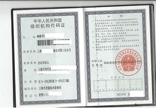 上海某某企業短期借款與內部管理培訓優化方案